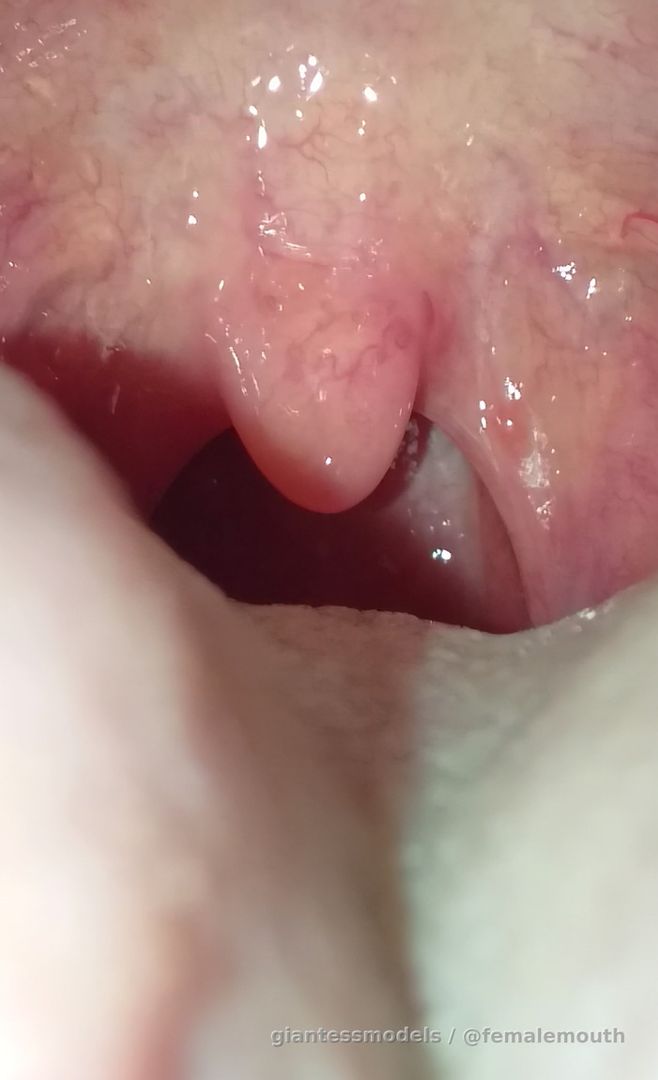 A closeup of a sexy female uvula! Very sexy stuff! 60fps, stable frame! Inhale/Exhale sounds.