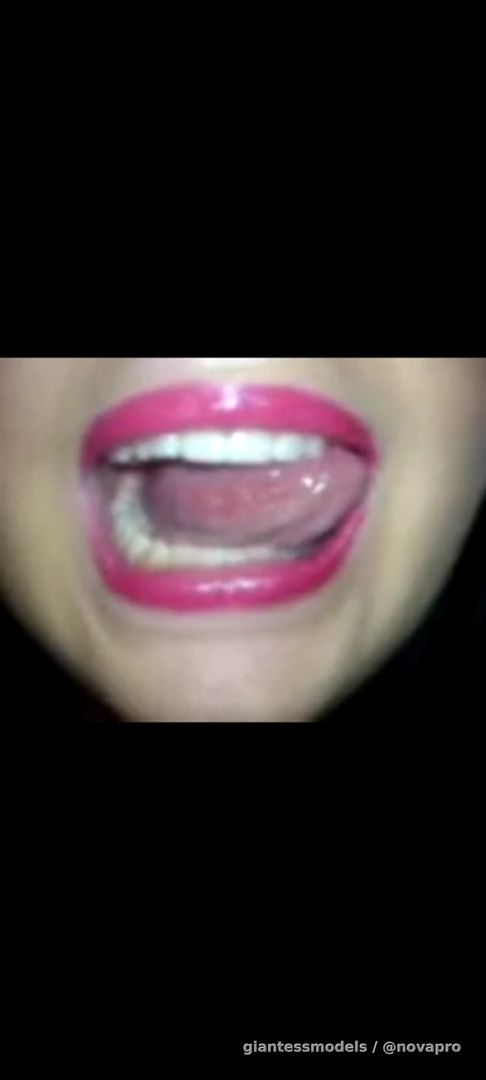 YT 2010 SheLovesVore Live Goldfish Swallow 