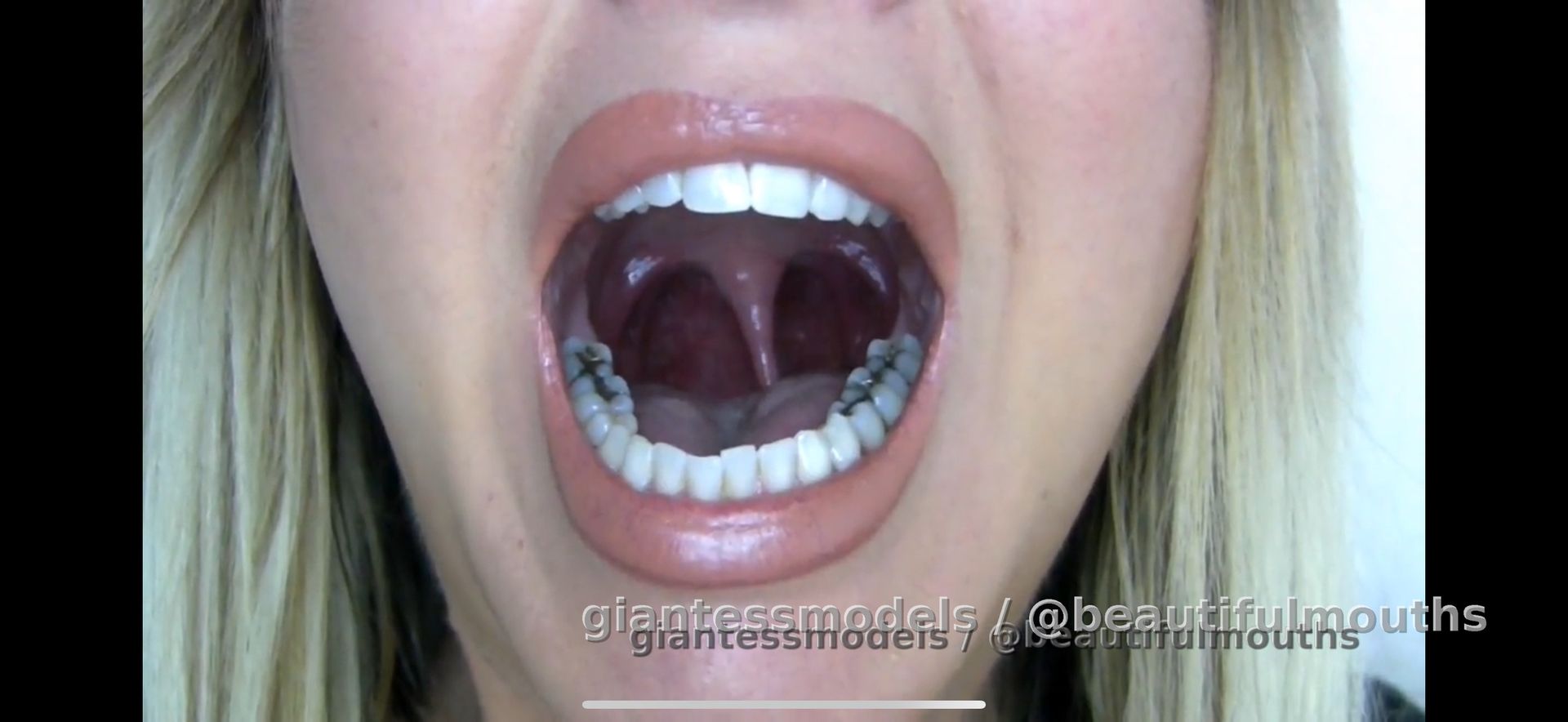 Mouth tour
