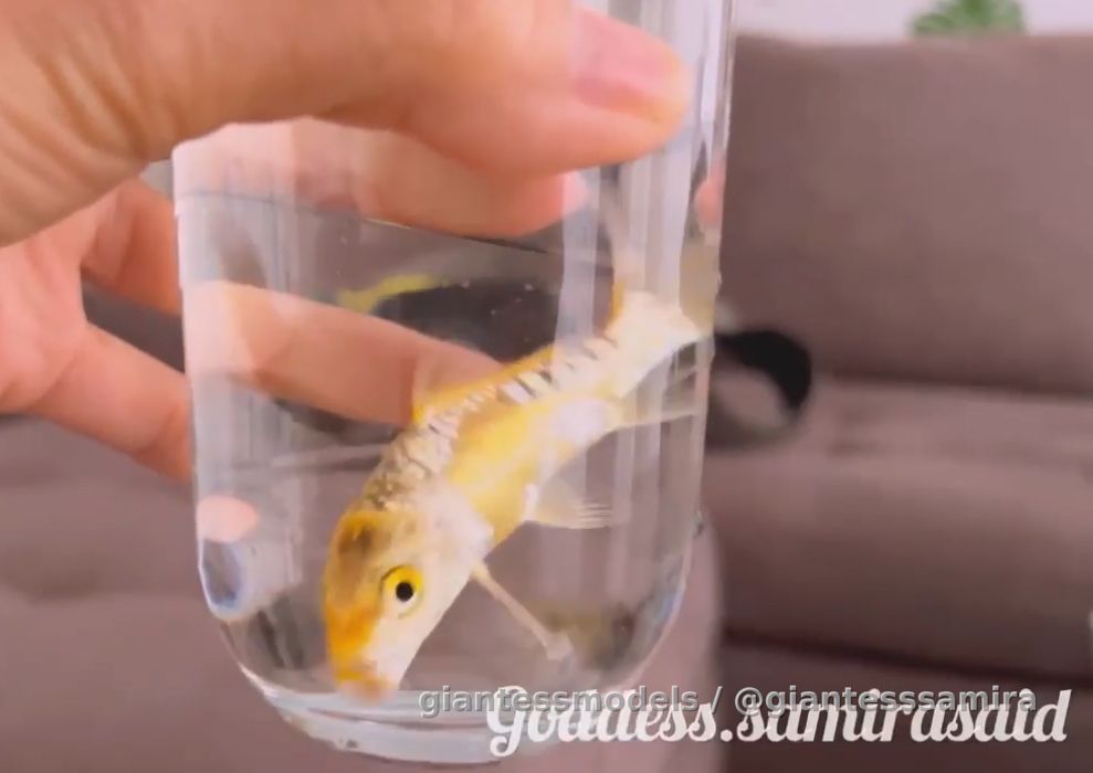 what can you imagine? 😈