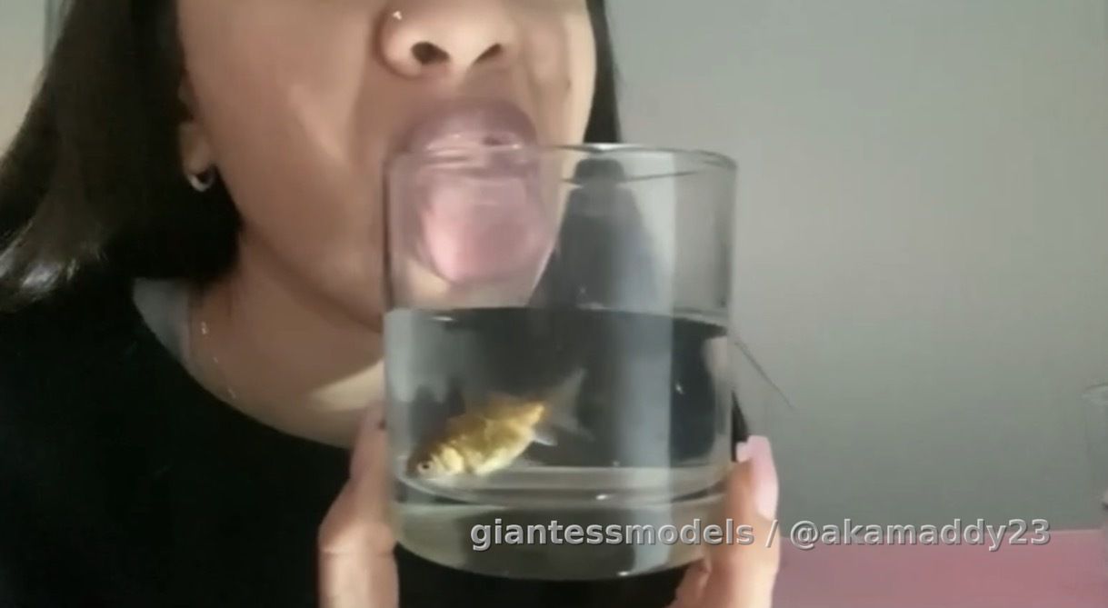 Tender Maddy plays with fish before swallowing them. The final scene shows her checking her poop for remains