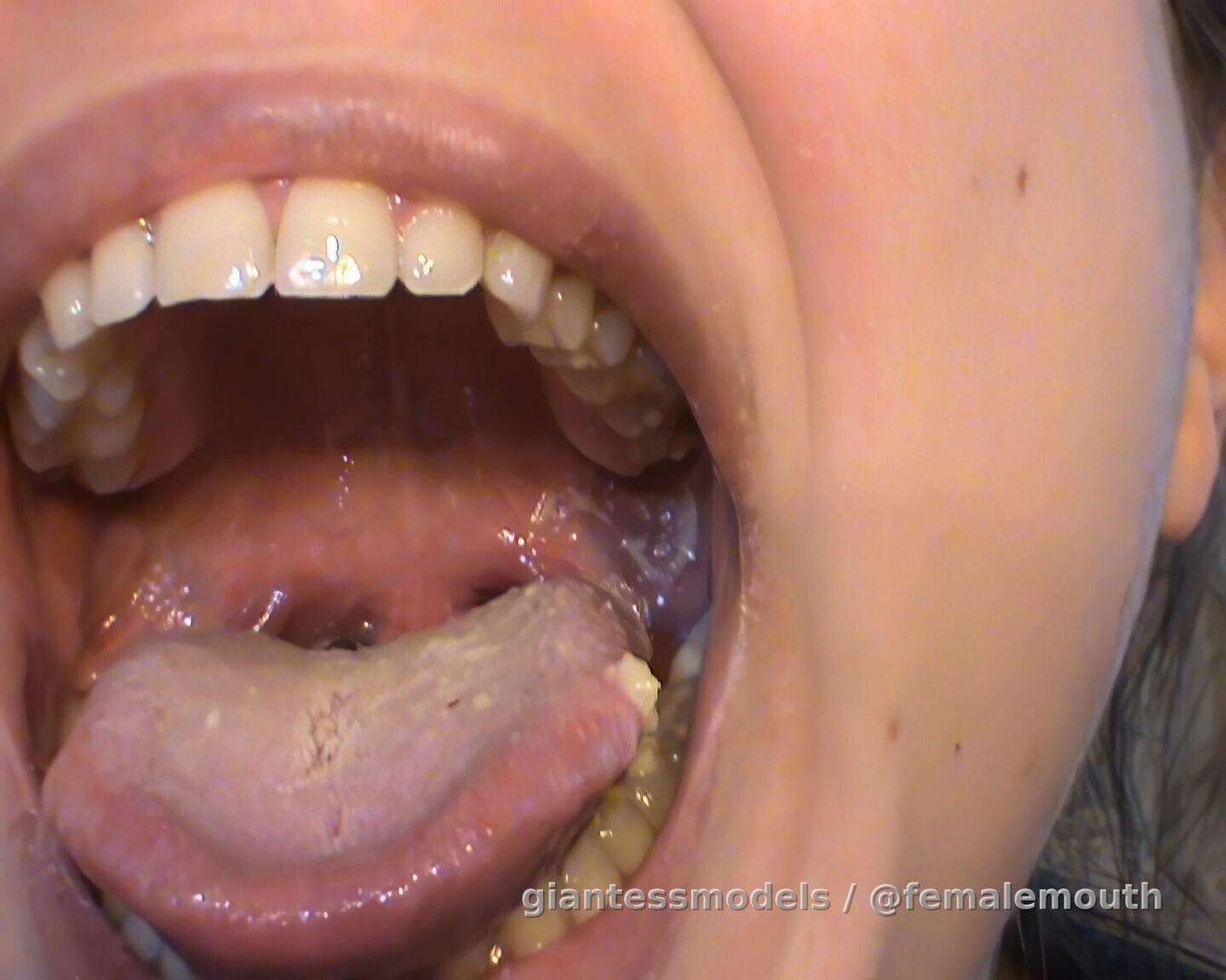 Peanuts VORE with DEEANE!!! This girl (so young from 20 years ago) still has the sexiest lips and mouth I've ever seen online! It's an honor to be able to share this AI ENHANCED and DEINTERLACED version of it, probably shot on a film camera!!! 60fps interpolated and sharpened! But what's really sharp are her iron TEETH and strong JAWS!!! Damn, that mouth is so fucking sexy!!!