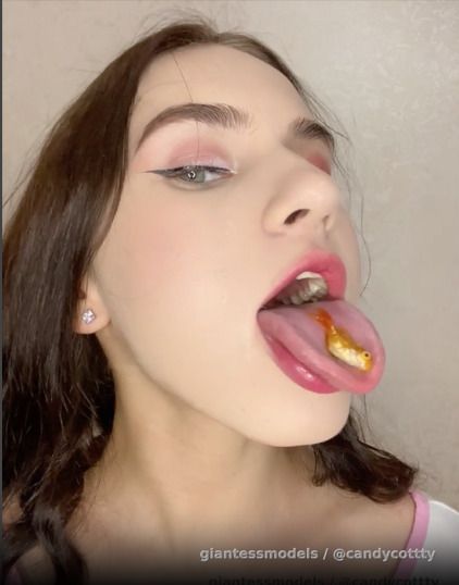 DM me for custom vore content 😽
Inst or tg: @candycottty