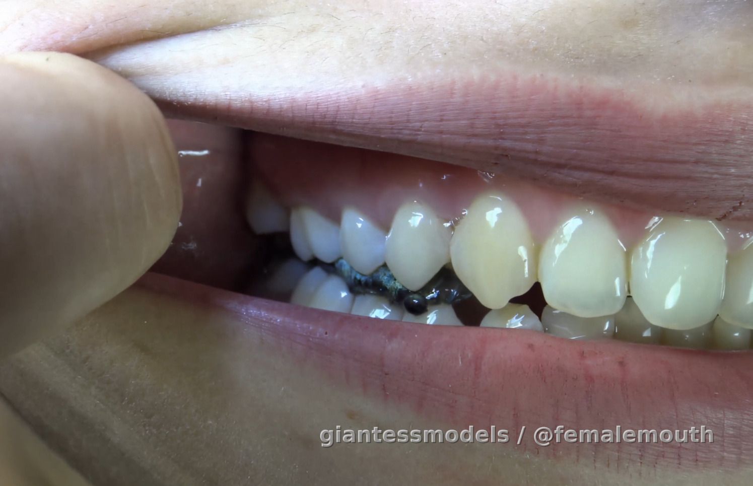 BA - Brutal Accent #9: In this episode, AI is used to:

a) stabilize image (no shake)
b) upscale to 4K
c) enhance video quality by pixel
d) add frames and slow the motion (you can slow even more!)

This is deep study of the chewing power of a giantess. The fish trapped inside her lethal embrace is about to experience her full pressing strength. As you will see the end is certain and instant! Her deep premolars easily dig through head, eyes and skull, while the mashing molars make a simple pulp from it's body... Sound is incredible... sound of ending... The female mouth is the most beautiful compressing device on earth!

Girl name: Claudia...