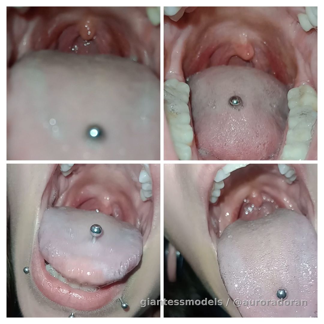 mouth tour