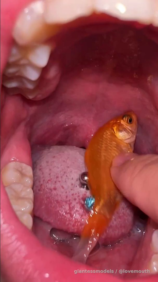 The girl swallowed the goldfish