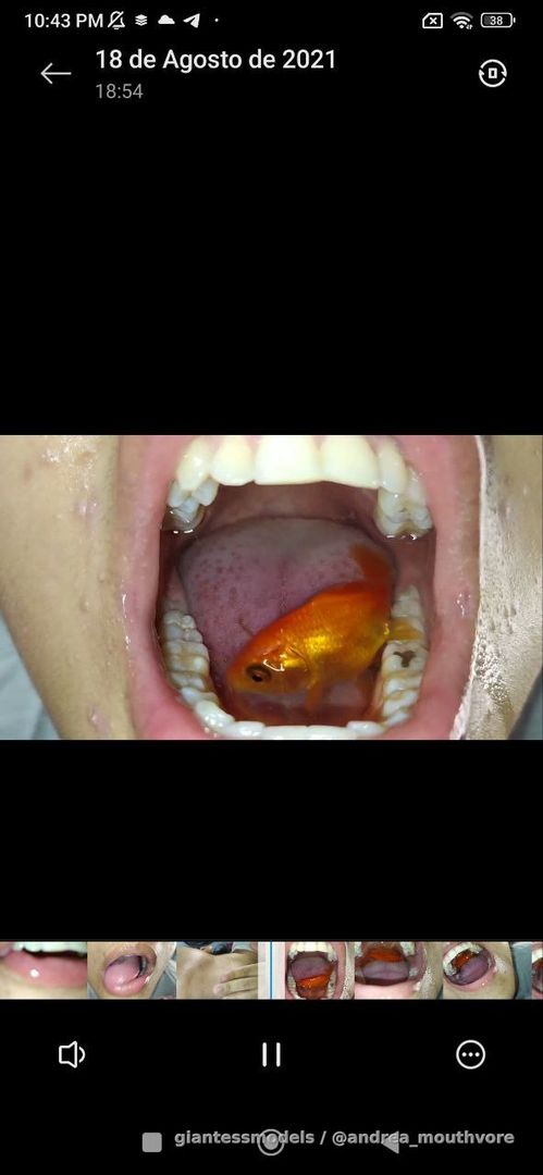 I have a folder with different videos where I do live vore! Just send me a message if you are interested!!! 