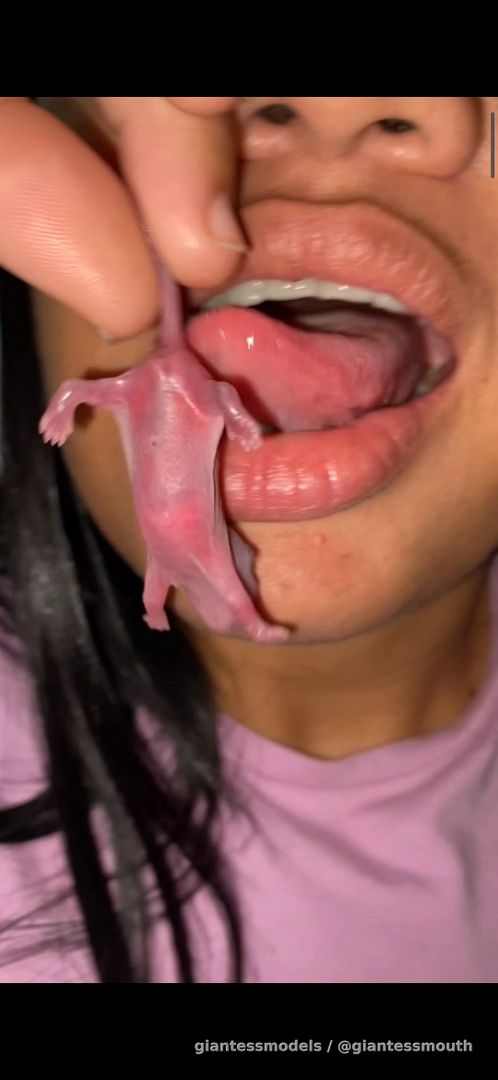 Latina girl swallow mice whole 4