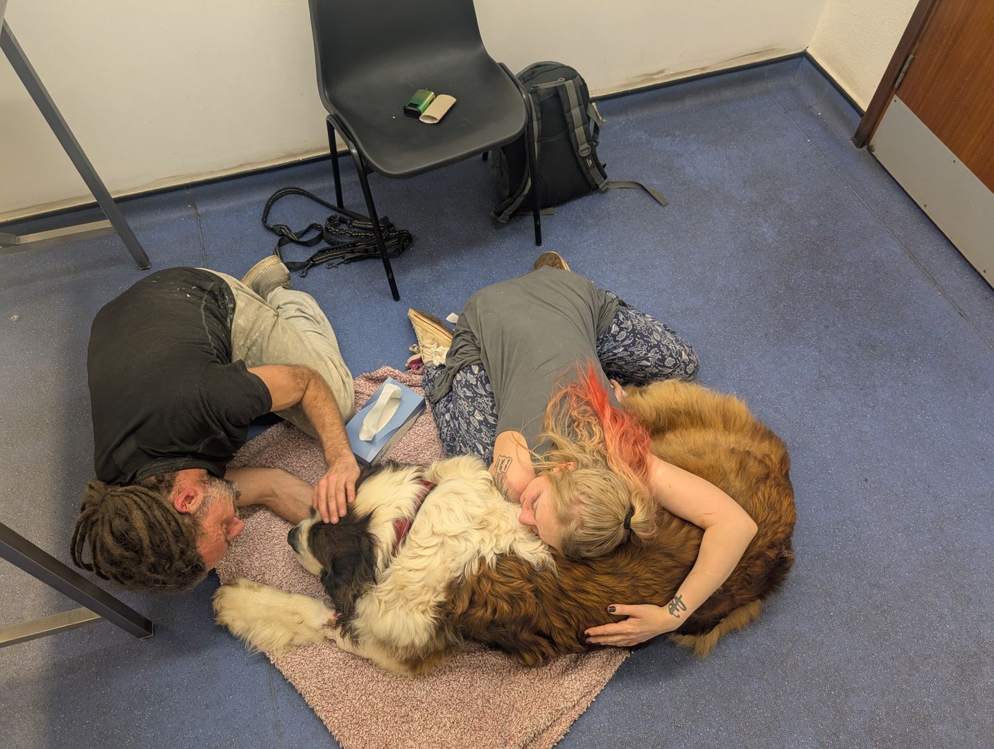 I had to say goodbye to my boy Boov last night. His heart just couldn't keep up his body anymore and I will forever more cry at the sight of the number 9 because it was that many years he was mine 💔 
I love you Boov ❤️‍🔥