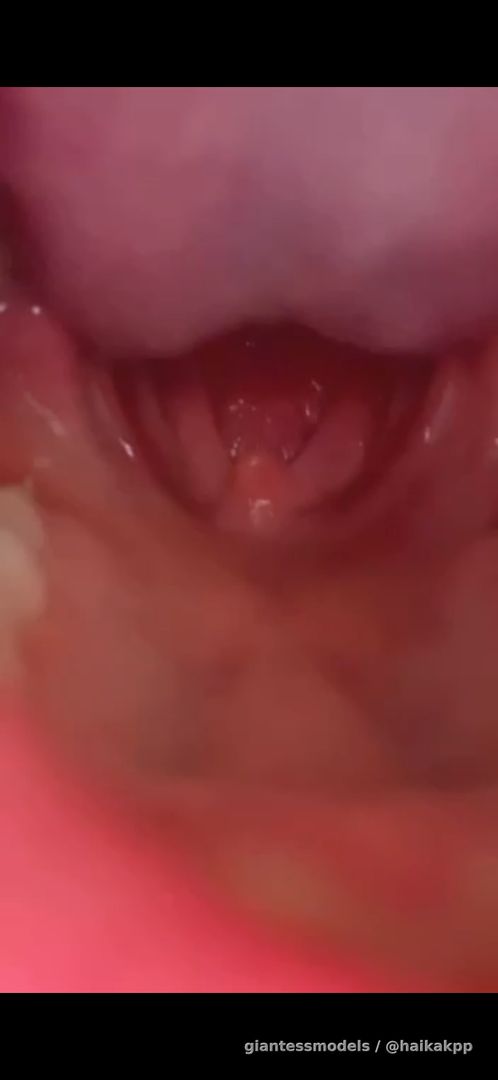 Tangmo feet and vore (1min ver.)