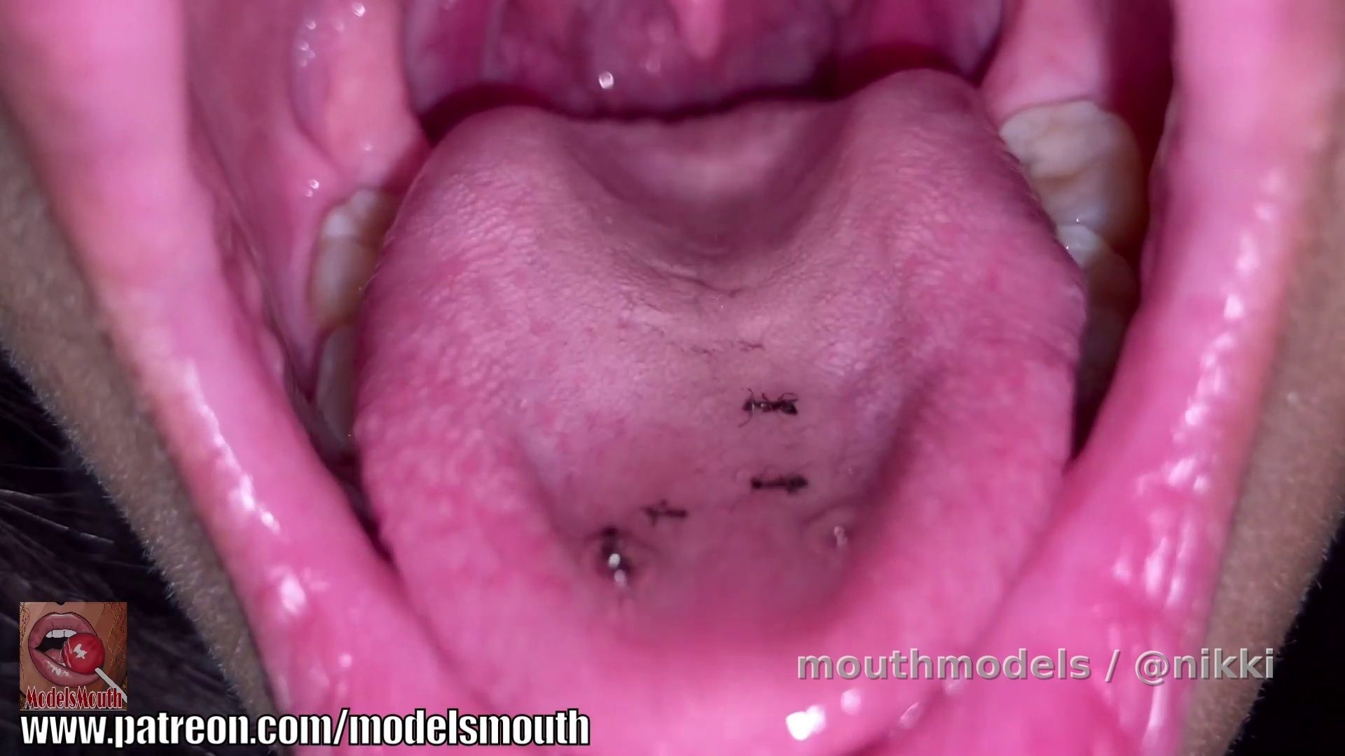 Ant vore