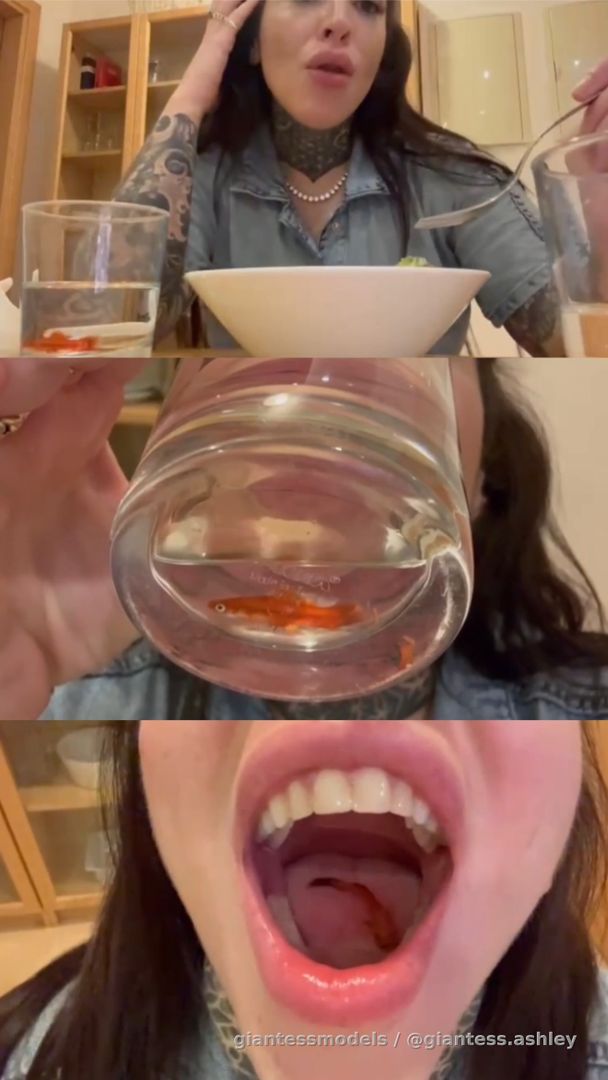 The ruthless Ashley has fun with tiny live creatures: Squashing, vore, swallowing, masturbation, anal vore, big scat. Multiple views and extreme scenes. One of my best videos ever.