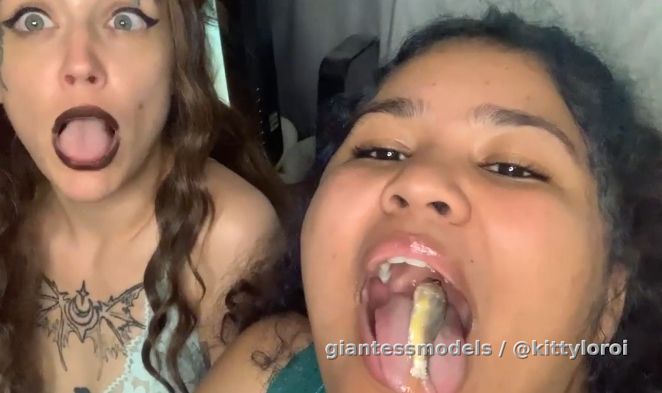 Zoe and sxylzrd Live fish collab 