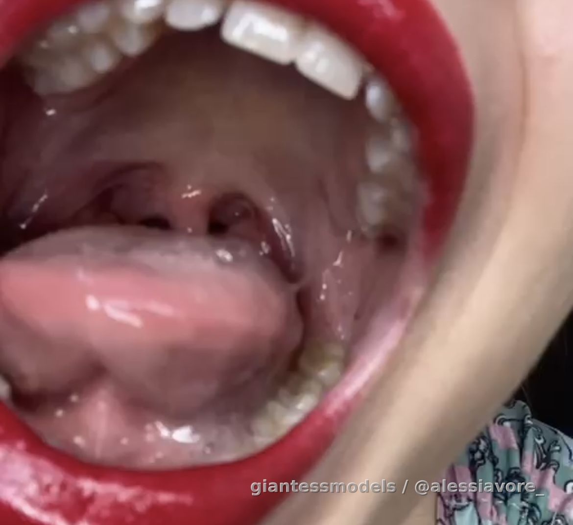 Wet Big Mouth Tour 😉