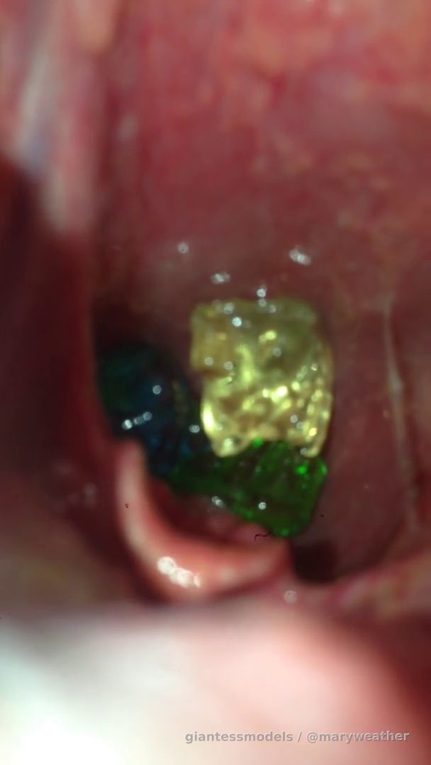 Gummy bear elementary goes on a field trip