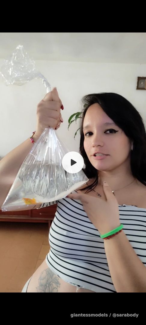 Vore Fish 