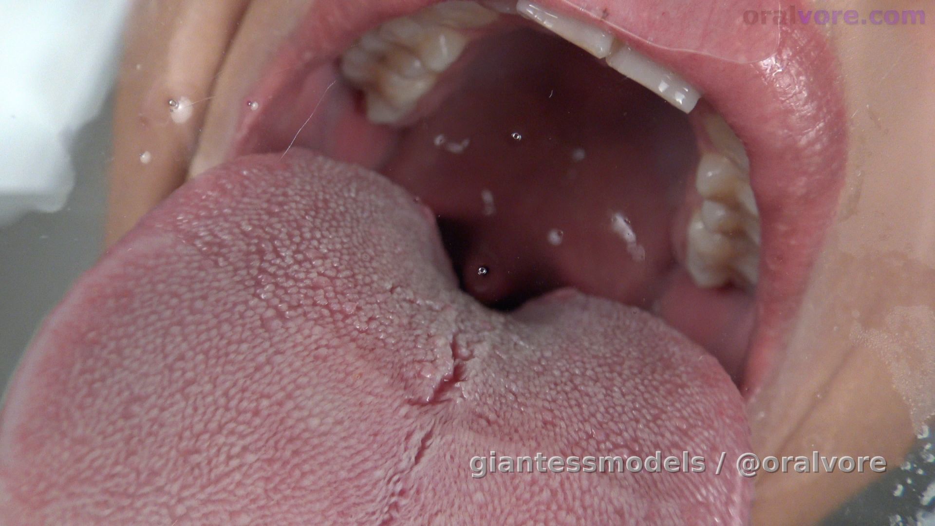 ROXV11 – Tabletop Dining – Roxanne isn’t finished torturing her little victims yet. She drops you onto the glass tabletop, then smooshes you with her enormous tongue and laps you up like a cat does water. Roxanne shows you how you will be swallowed by swallowing gummy bears so you can see, then she swallows you. 2 more victims get swallowed alive.