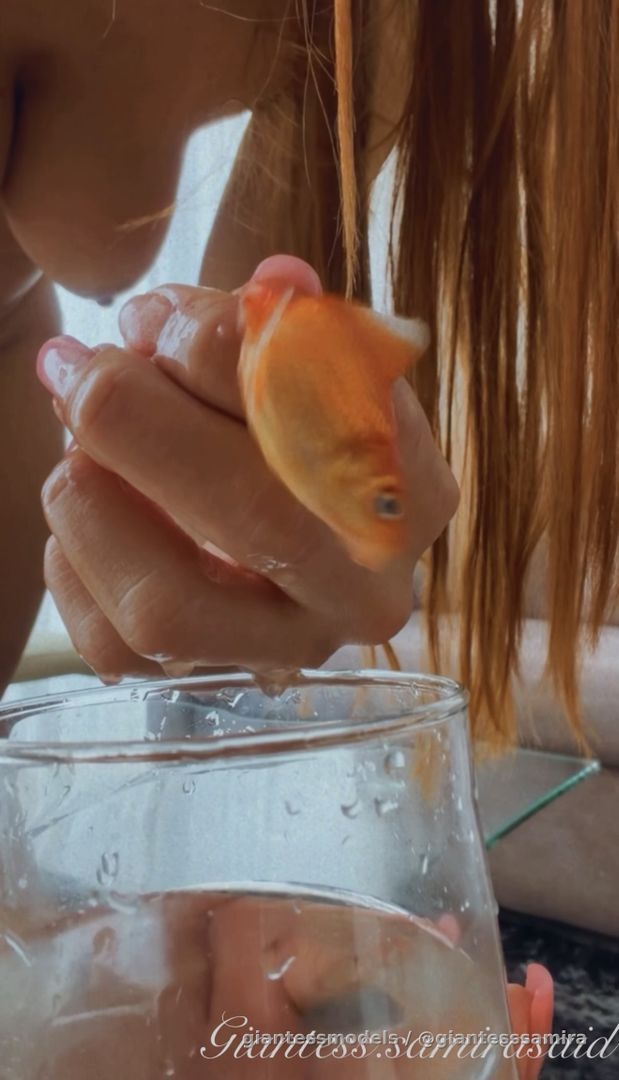 Samira gives her three fish different endings. While seducing her boyfriend with anal sex, she puts one fish in a condom and sits on his penis, inserting it into her vagina until he ejaculates. Then she crushes the fish in the condom and masturbates her boyfriend until he ejaculates. She crushes another fish with her buttocks and throws the third in the trash.