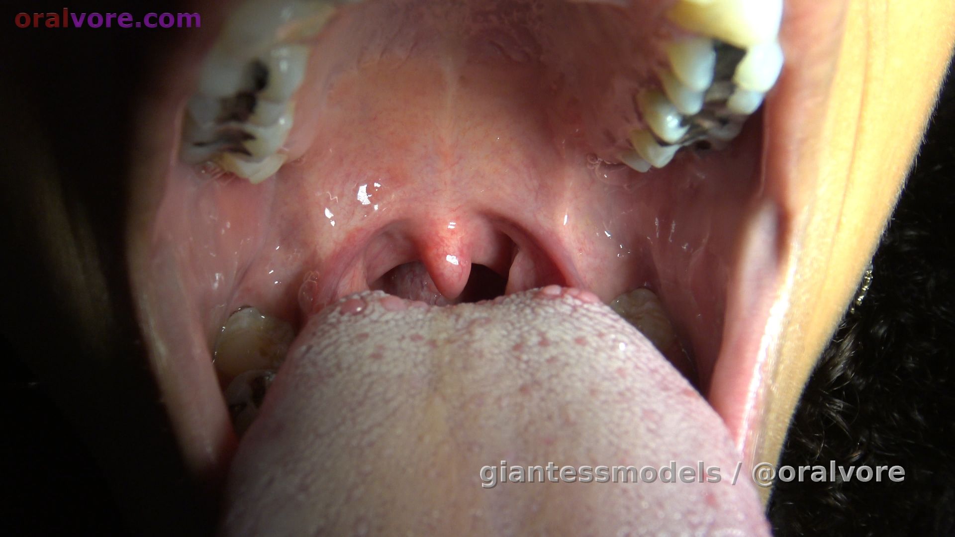 ANNAV1 – Anna Open Mouth Swallows 4 Tiny Victims  – Anna is gonna be a Vore Star. On her first visit to us, she open mouth swallowed goldfish like she has been swallowing tiny victims her whole life. Anna, is also so very sexy, so very cute and she is so good with the role play… we love her already, and I think you will too. Anna has a huge mouth, with a long tongue and you will see 4 large goldfish slide down her tongue, and into her beautiful throat.