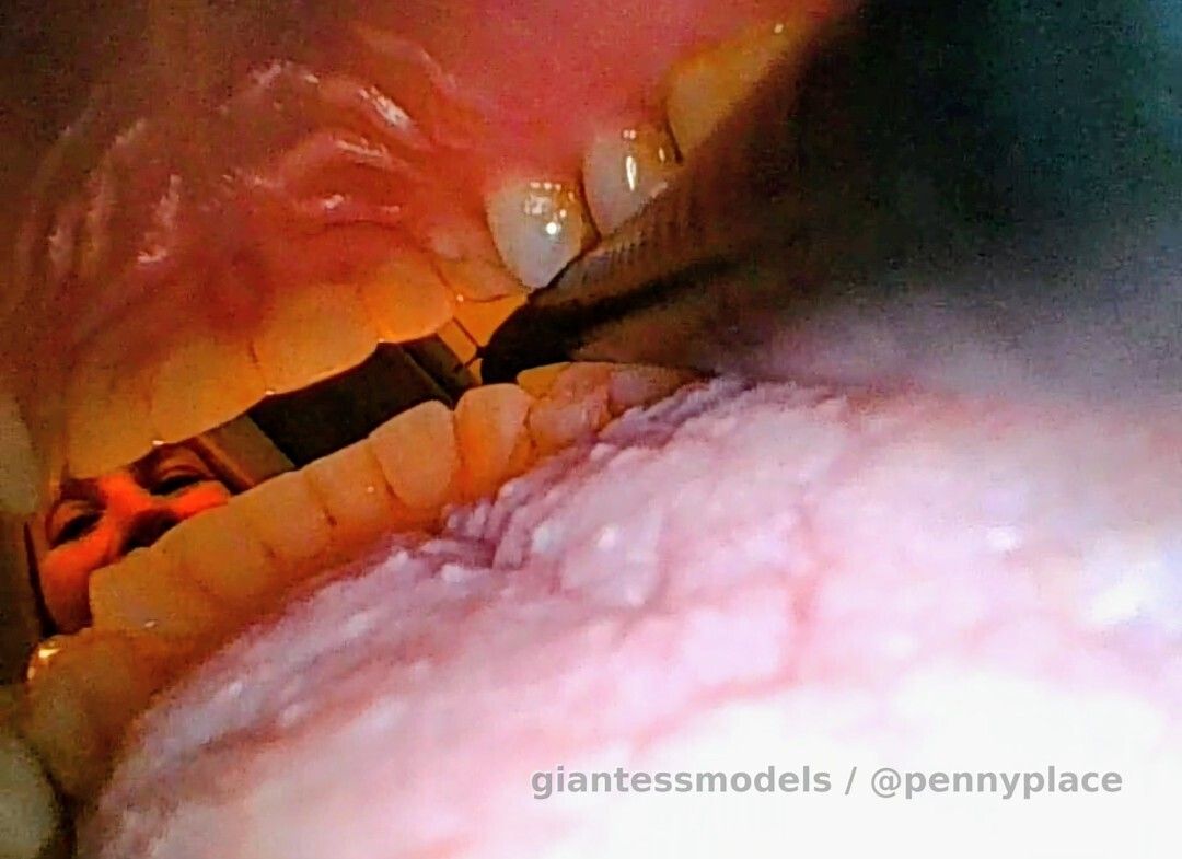 Inside looking out
YOU Looking Out! Borescope with Penny! Scope all the way back in my mouth showing a view of what you would see looking out! See my maskless face in the mirror, my teeth like a large picture frame showing the views of the outside world. YOU are now mine!