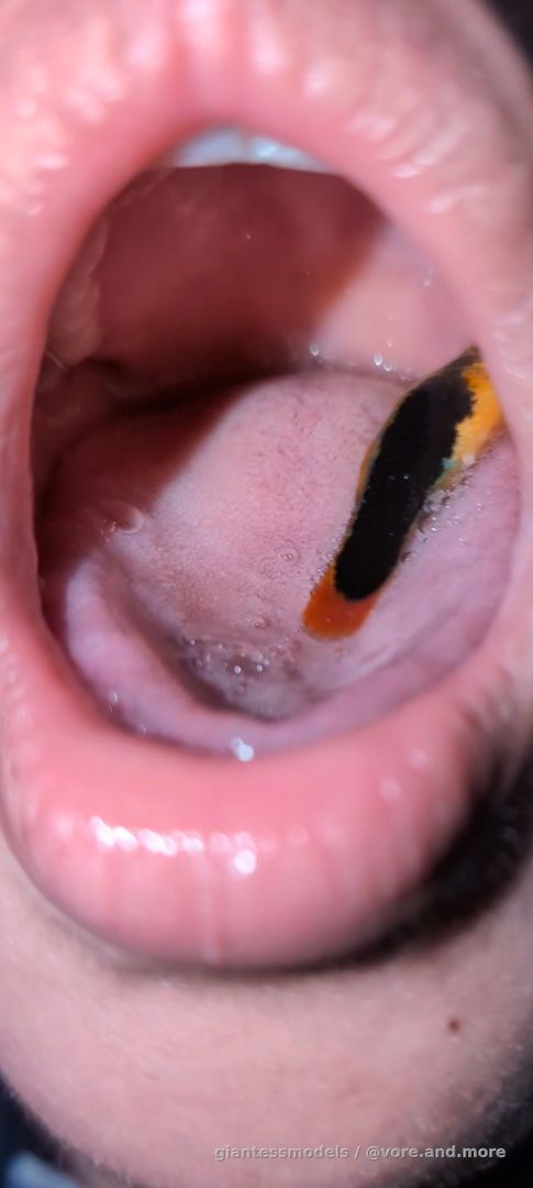 Close up fish vore 