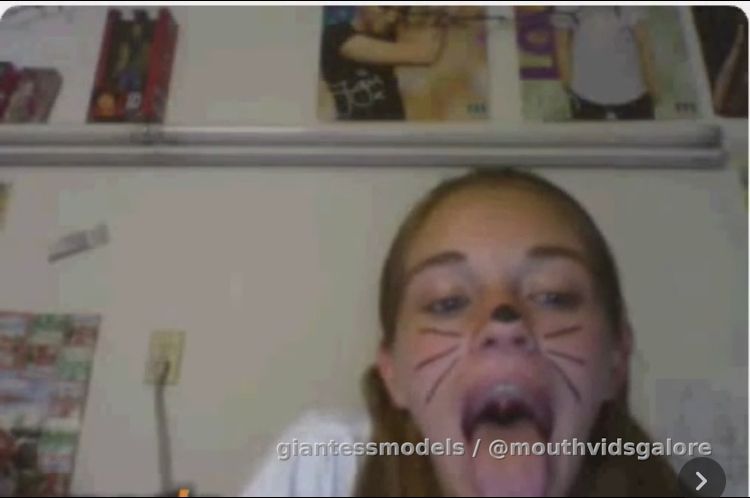Old Omegle Video 293: Far View Tour