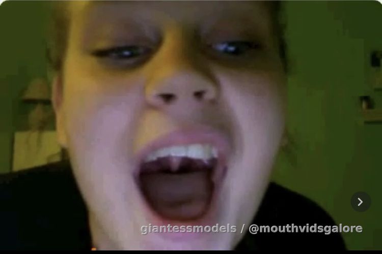 Old Omegle Video 354: Far View Tour