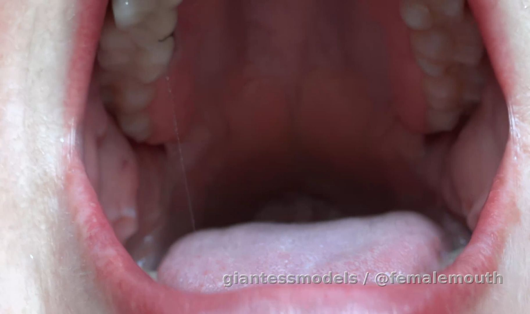 Mouth tour - in clear quality, perfect interior!!!