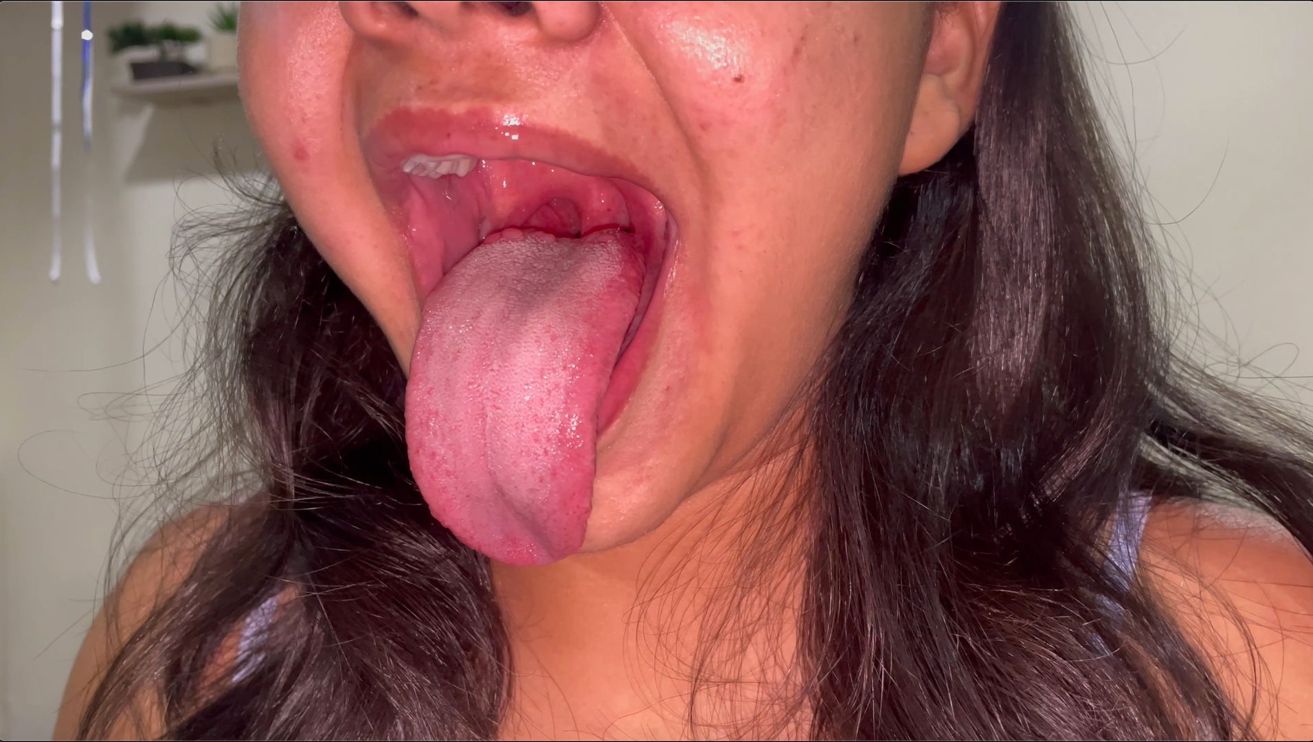 Andreamouth Up Close Tour