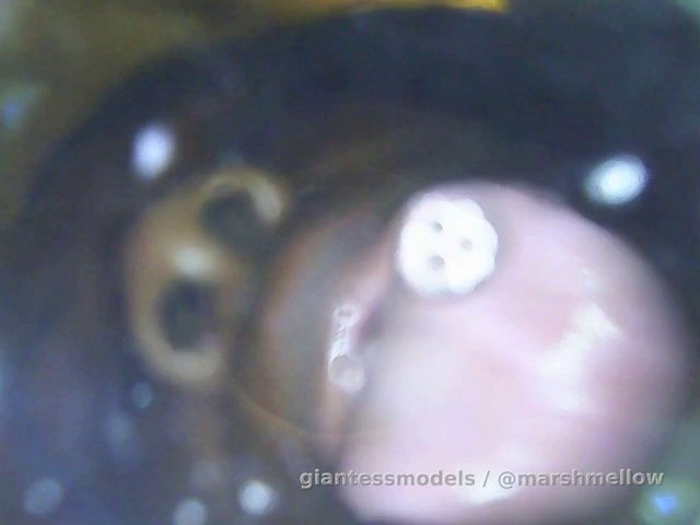 Giantess sucking and licking on you😝💦