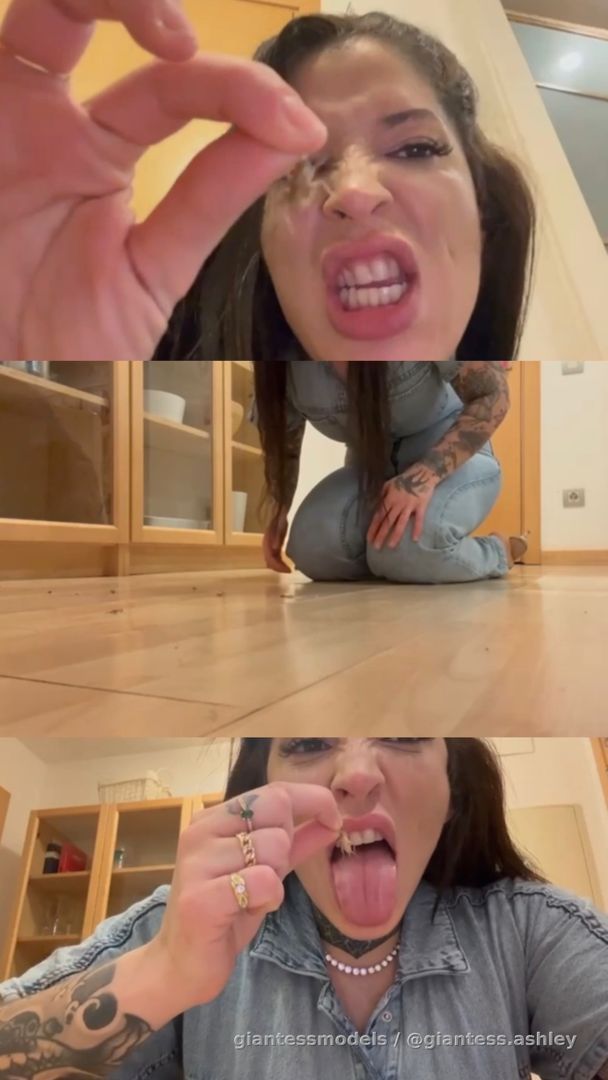 30% off only for today!:
Swipe left . The ruthless Ashley has fun with tiny live creatures (fish and crickets): Squashing, vore, swallowing, masturbation, anal vore, big scat. Multiple views and extreme scenes. One of my best videos ever.