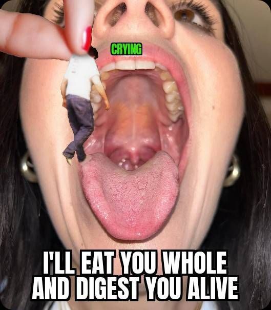 No Trace Cjapetrs 11,12,13