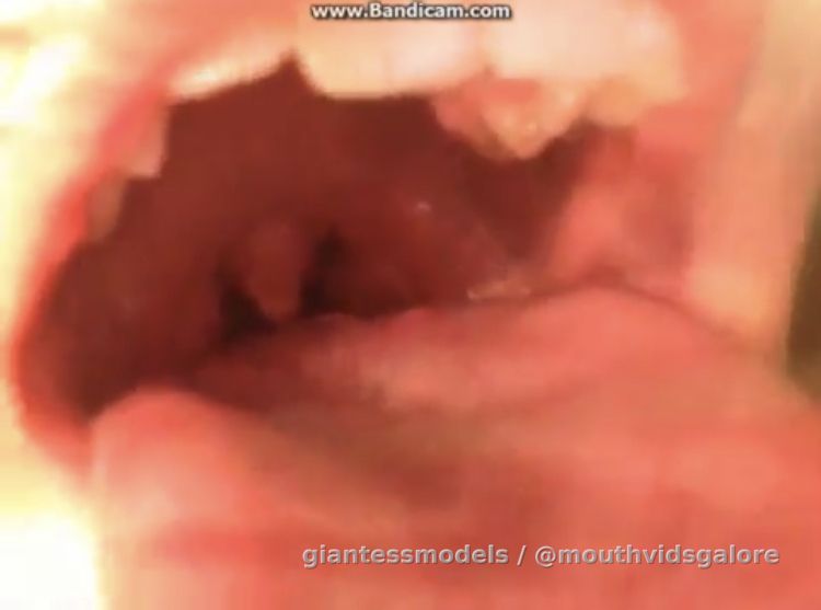 Macie Closeup Tour