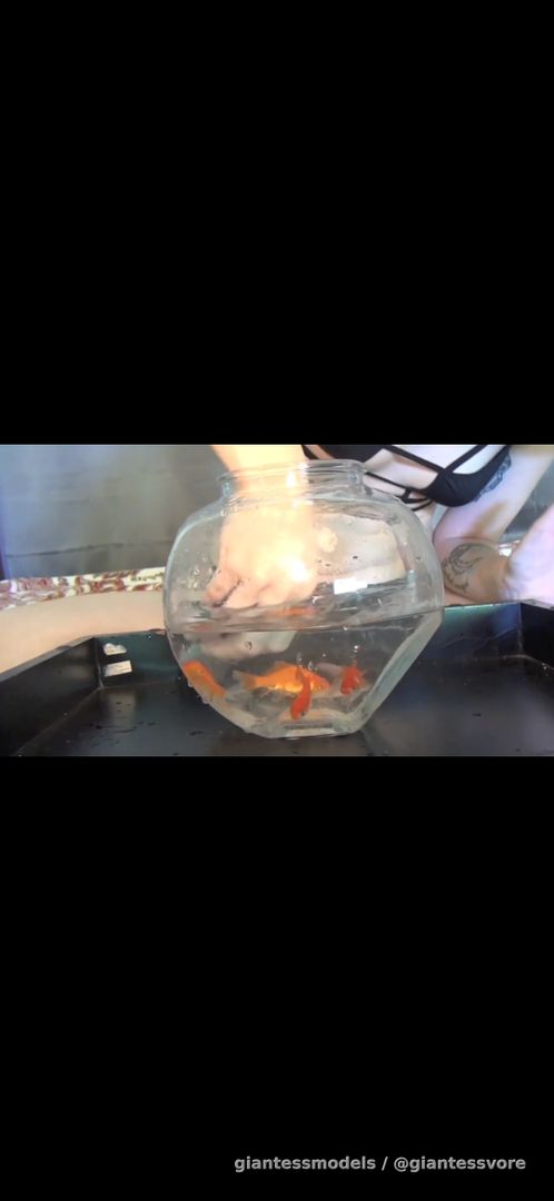 Cute girl who swallow whole lot of goldfish ! 