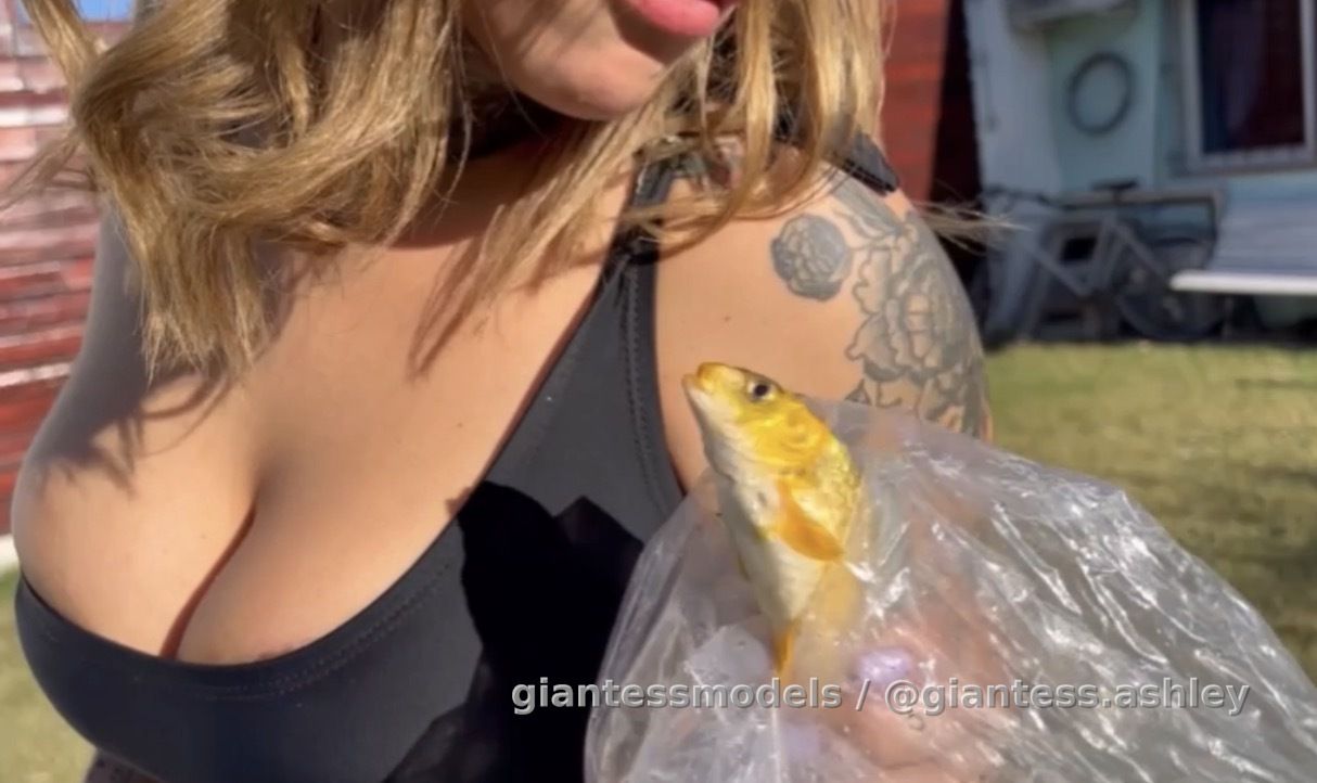 NEW PRICE! TAKE ADVANTAGE OF IT! Swipe left at the bottom to find the video

Ashley decided to transform into an evil giantess sexy cat and took control of a defenseless live big fish. The fish will be subjected to Ashley's punishment in multiple ways while still alive! Then, she decides to cook it for her dinner! You can't miss this video if you like giantesses with live creatures. Shots that will blow your mind. Don't worry if you see my face censored in the previews; when you unlock the video, you'll see my face perfectly.