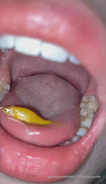 The girl swallowed the fish and then vomited it out