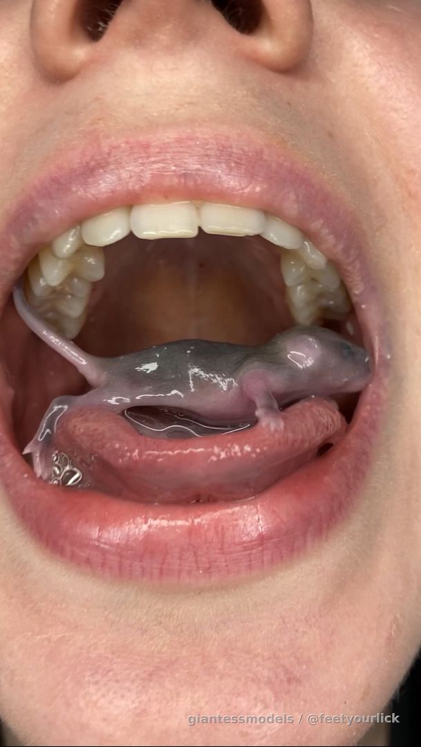 Mouse vore with food (close ups and mouth play) 