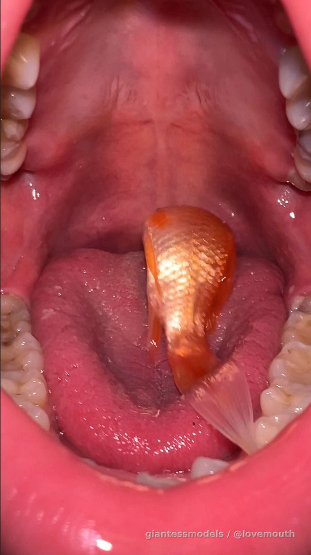 The girl swallowed the goldfish