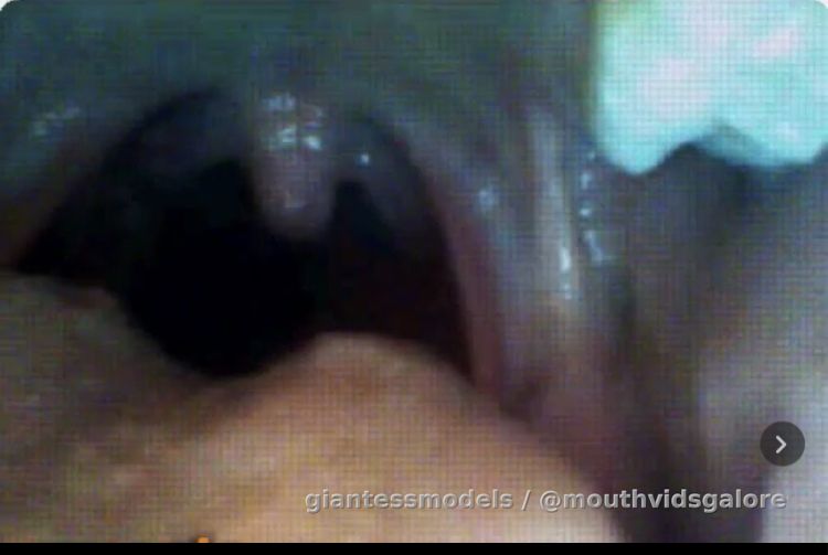 Old Omegle Video 309: Interior Tour
