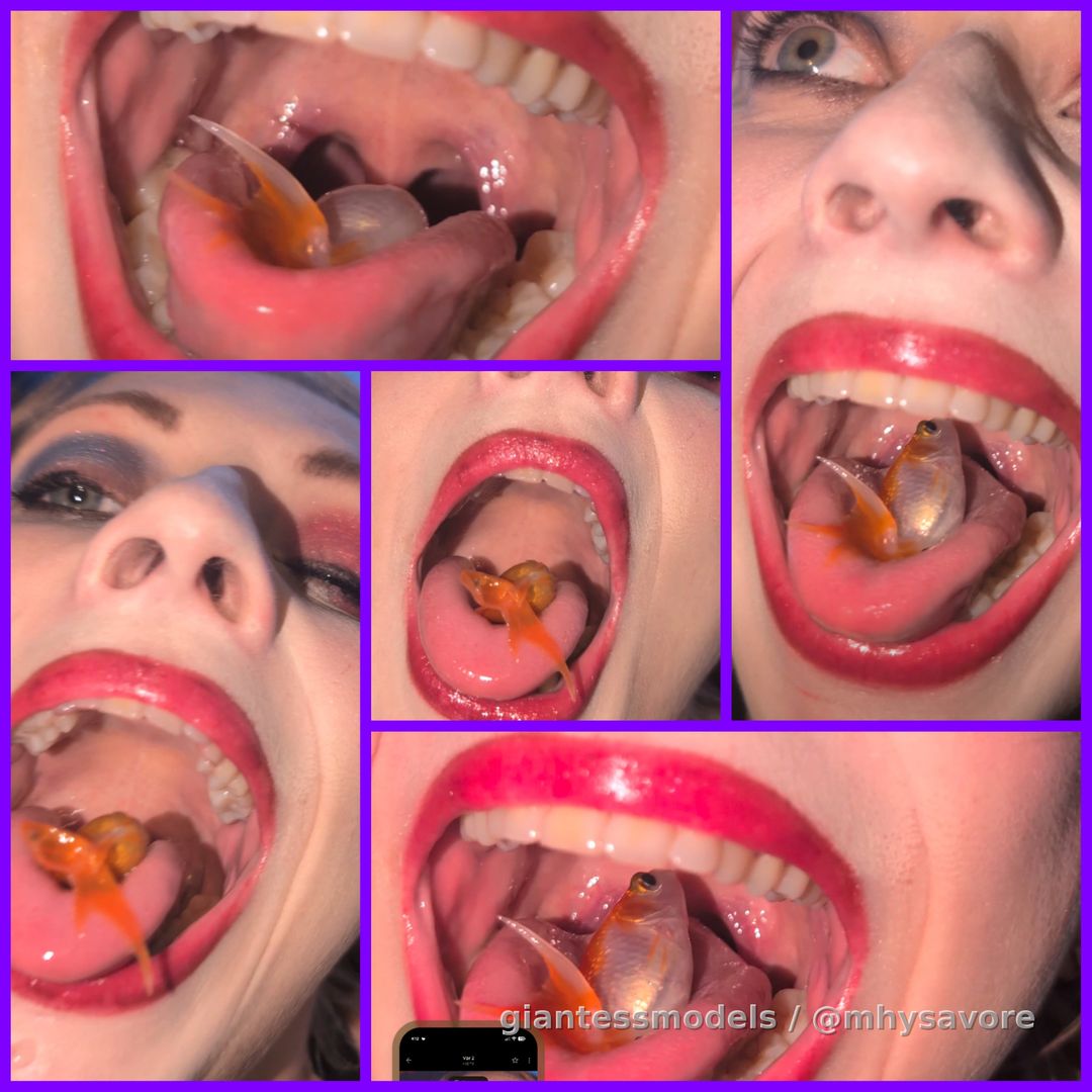 Brand new two fish open mouth swallow and burps galore 
See fish slip all the way down
Sound as a pound as us brits like to say!