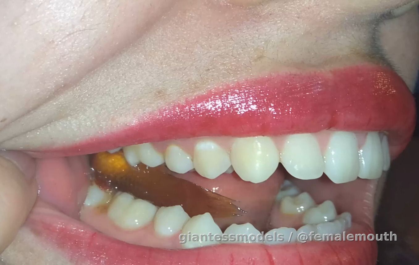 BA - Brutal Accent #5: In this episode, AI is used to:

a) stabilize image (no shake)
b) enhance video quality to 4K (high res)
c) add frames up to 120fps (slow mo)

It's the main, 