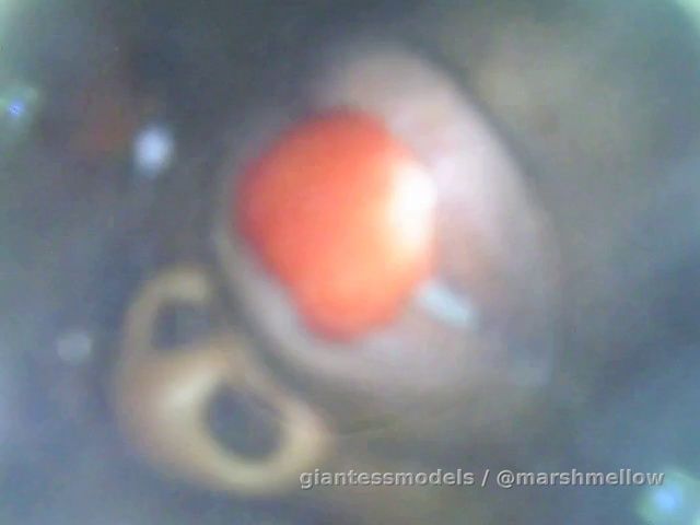 Apple 🍎 vore with mouthcam 