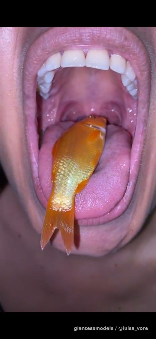 Big fish 