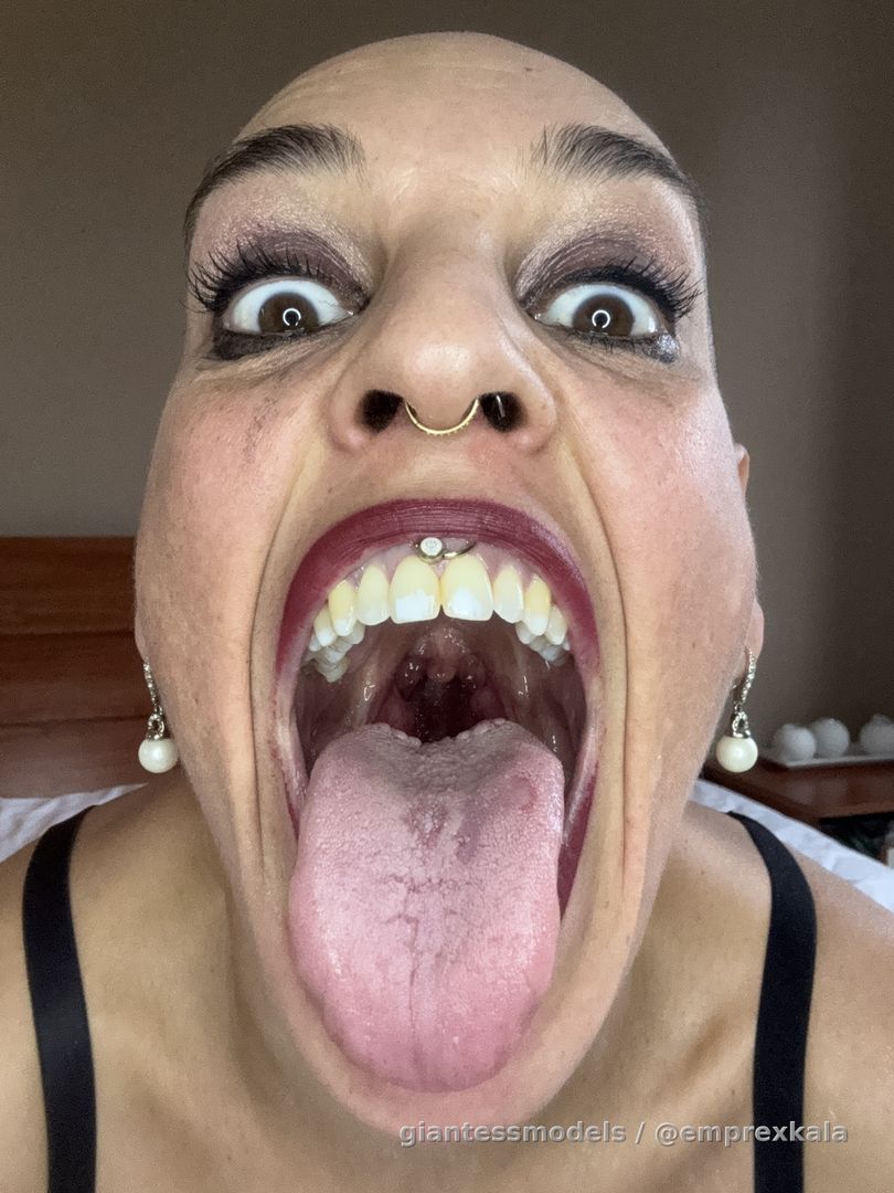 would you like to tour in my big mouth, tiny?