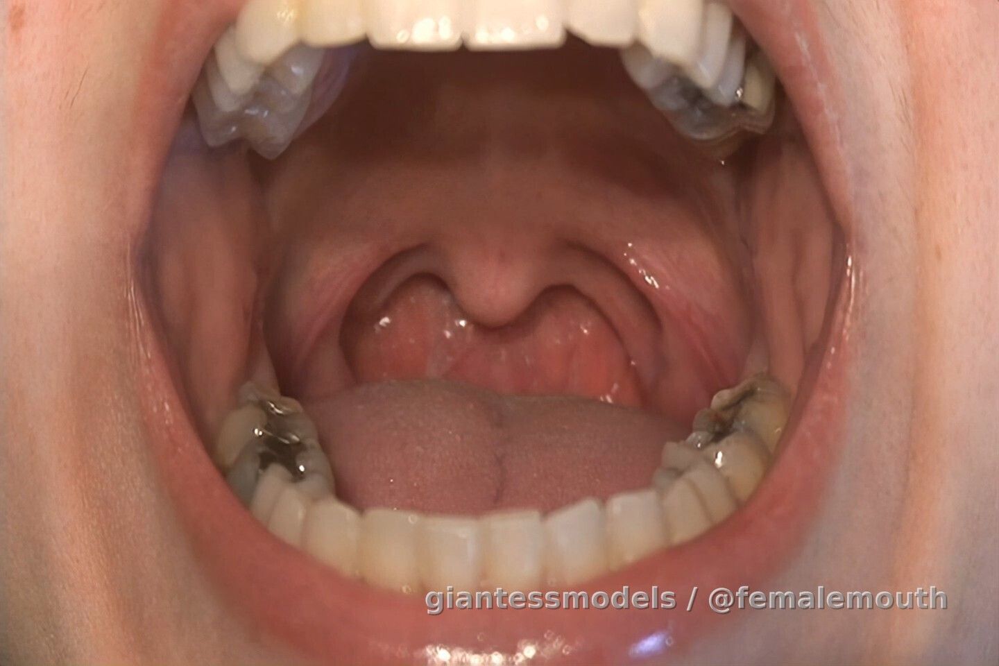 Old but GOLD! Some really old mouth fetish clip, one of the first digital evidence of the amazing female mouth! This GEM is now digitally enhanced and remastered up to 60fps! So you can watch every detail of her oral movement. Watch -> Imagine -> Touch -> CUM!!! Aren't we all here for this? Lovely!