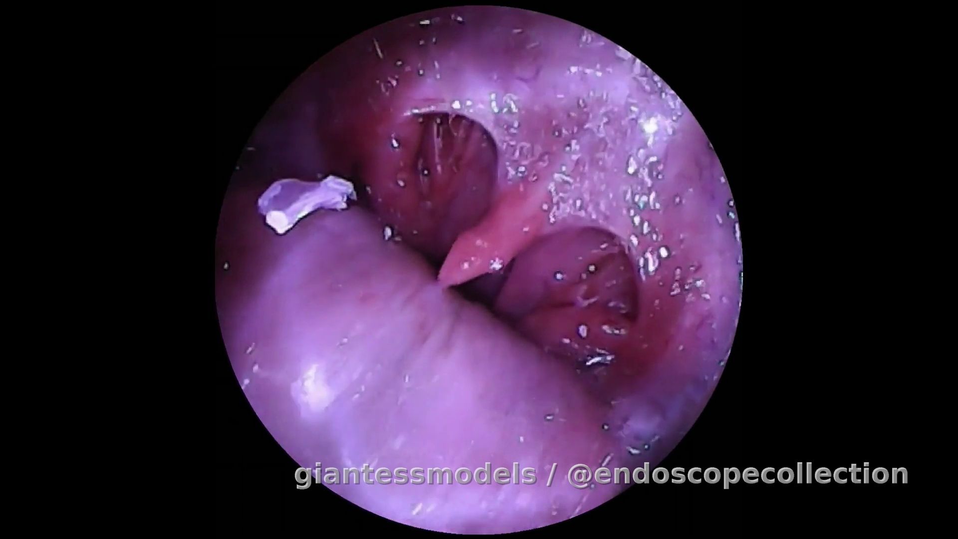 Camgirl Inside Throat