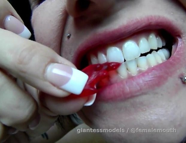 Candy Box - Gummy Bears Chewing!