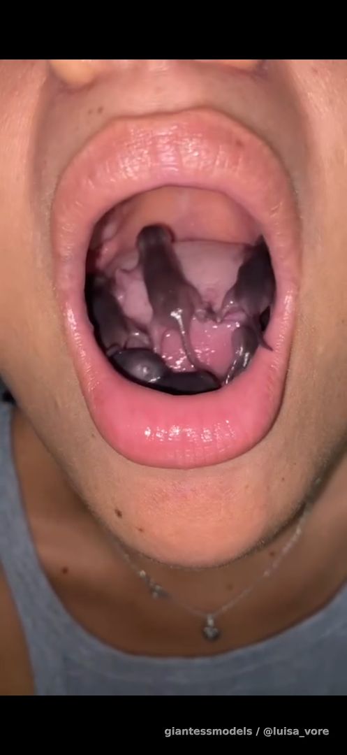 5 mice swallowed 