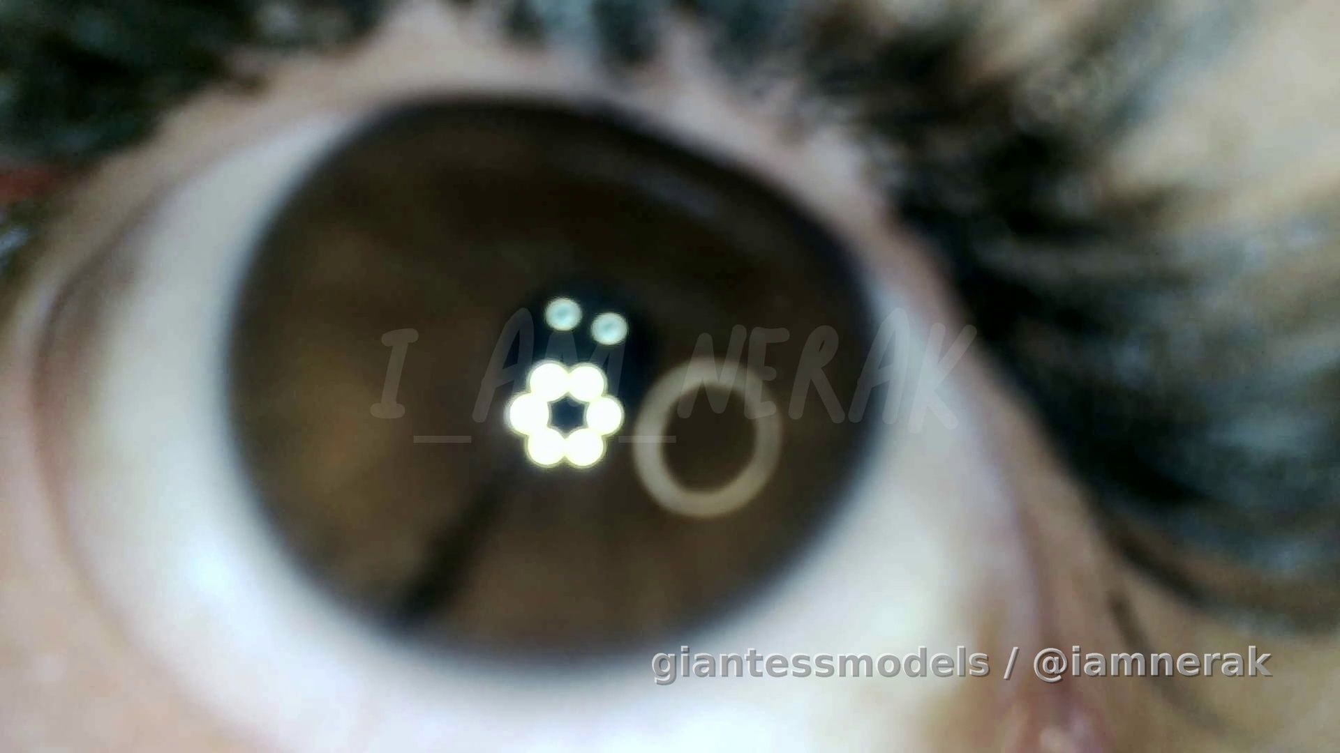 tour of my juicy mouth