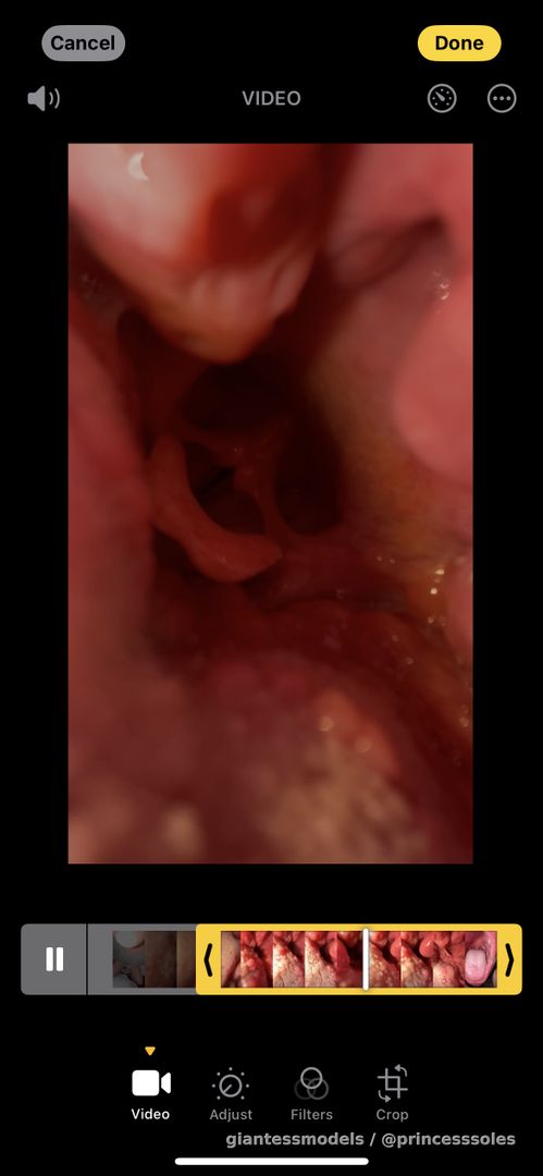 Endo comes tomorrow 👀 Super excited to get my hands on it and start creating more content! Here’s a little taste of what’s yet to come… enjoy xx 